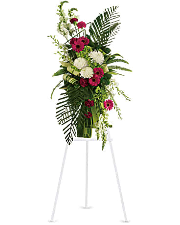 Pulverizador de gerberas y palmeras