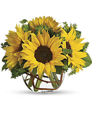 Girasoles Soleados