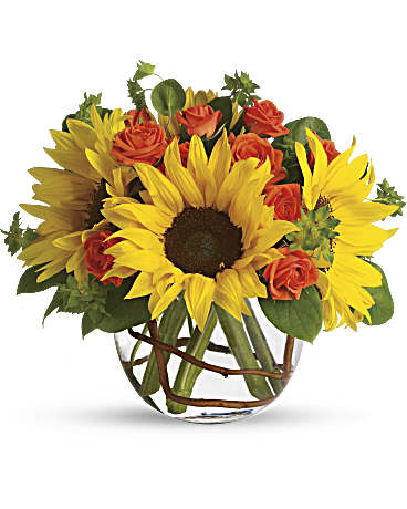 Girasoles Soleados