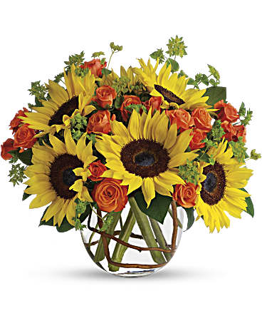 Girasoles Soleados