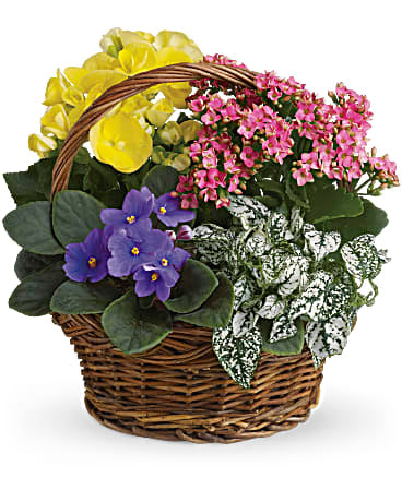 Cesta variada La primavera ha llegado
