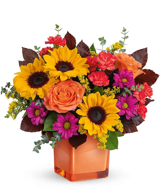 Cosecha de Girasoles