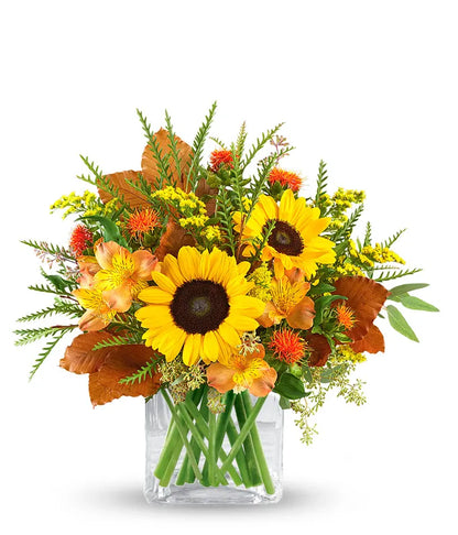 Agradecido por el ramo de girasoles