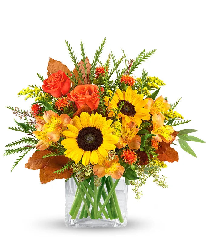 Agradecido por el ramo de girasoles