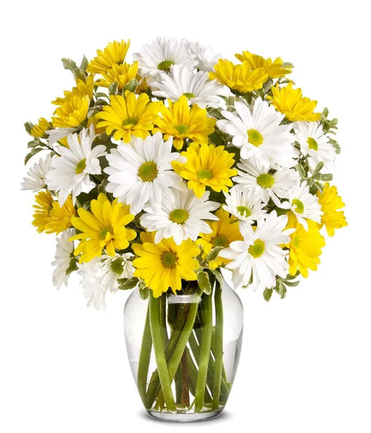 Upsy Daisy Bouquet - Same-Day Flower Delivery Boynton Beach, FL