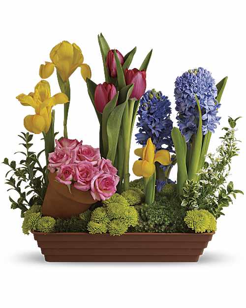 ¡Llegó la primavera!