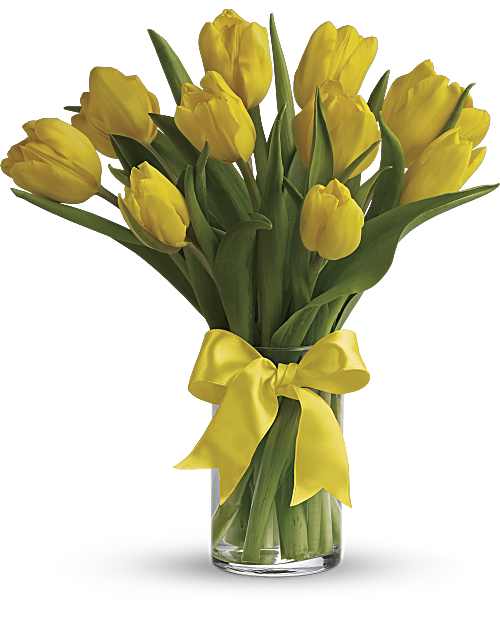 Tulipanes Amarillos Soleados