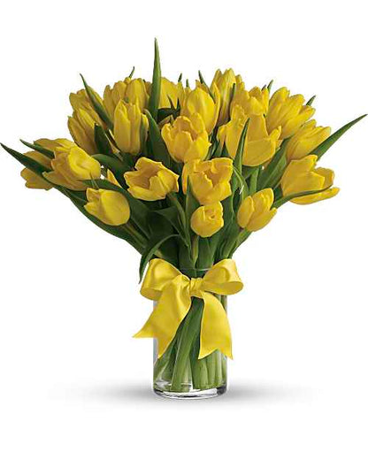 Tulipanes Amarillos Soleados