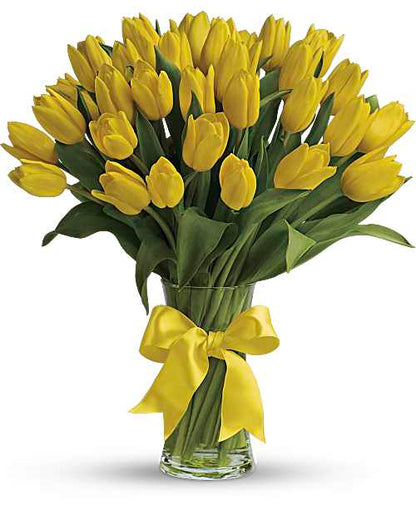 Tulipanes Amarillos Soleados