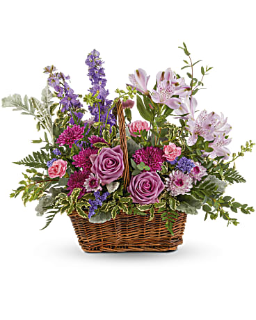 Prado de Lavanda