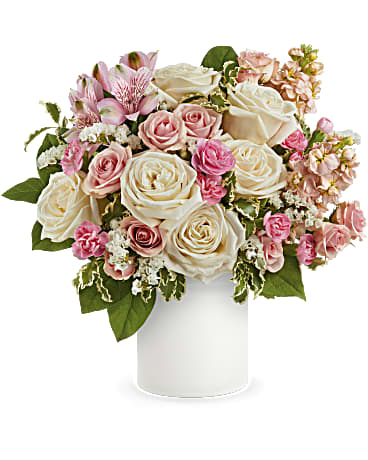 Fiesta Pastel
