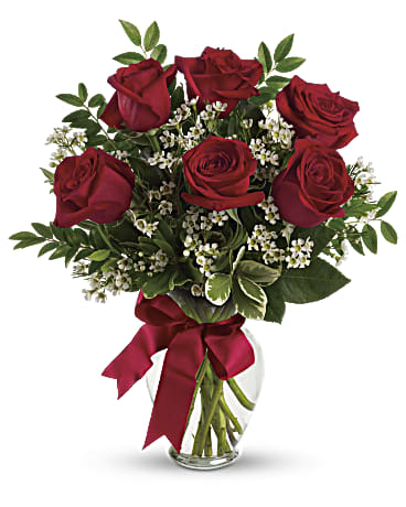 Thinking of You Roses - Same-Day Flower Delivery Lake Worth Beach, FL