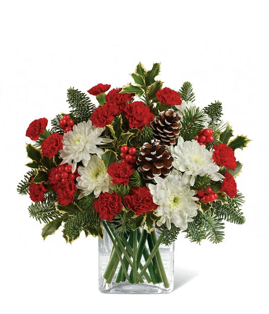 Abrazos de Navidad